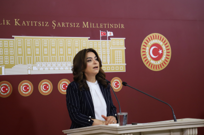 DEM Parti'li Koçyiğit: Sürecin geciktirilmesini doğru bulmuyoruz