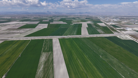 Konya Ovası'nda yağışlarla hububatta 500 bin ton rekolte artışı bekleniyor