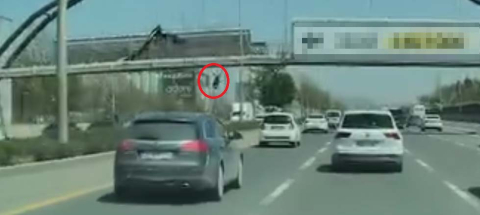 Afiş asarken üst geçitten düşüp, otomobilin altında kalarak öldü