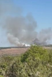 Beykoz'da orman yangını -2 / Ek görüntü