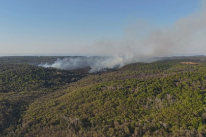 Beykoz'da ormanlık alanda çıkan yangın söndürüldü / Toplu görüntüyle geniş haber