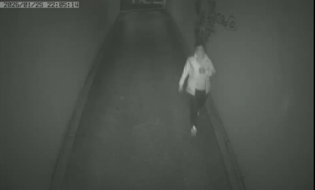 Kadıköy’de lüks sitelerden hırsızlık yapan 2 şüpheli yakalandı