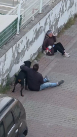 Ümraniye’de ağızlıksız gezdirilen rottweiler, küçük ırk köpeğe saldırdı / Ek görüntü ve bilgiyle