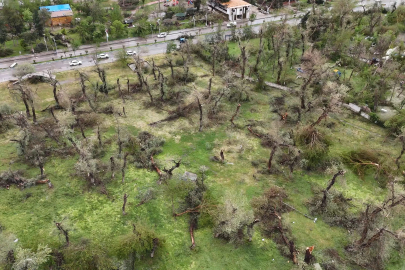 Şanlıurfa'da fırtınanın izleri siliniyor / Ek fotoğraflar