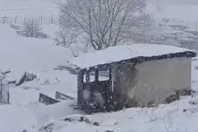 Şırnak’ta Faraşin Yaylası’nda kar yağışı