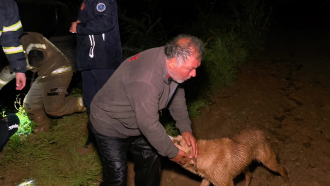 Bursa'da taşan dere çiftliği bastı: Mahsur kalan çiftçi ve köpeği kurtarıldı