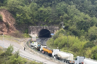 Heyelan nedeniyle kopan kaya ve dal parçaları elektrik hattını kopardı