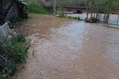 Şırnak’ta Habur Çayı taştı, ev ve ahırları su bastı