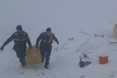 Jandarmadan karda mahsur kalan hayvanlar için saman balyası 