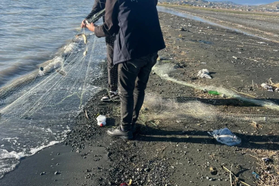 Van Gölü'ne atılan 200 metre uzatma ağında yakalanan 100 kilo canlı balık, tekrar suya bırakıldı