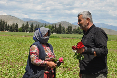 Tarım işçisi kadınlara ‘Anneler Günü’ çiçeği