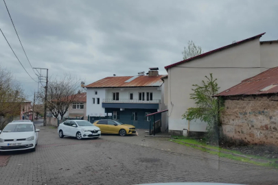 Kurdukları dernekle ev kiralayıp, sokak kedilerine yuva oldular