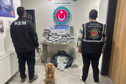 Ticaret Bakanlığı: 659 kilo uyuşturucu ele geçirildi