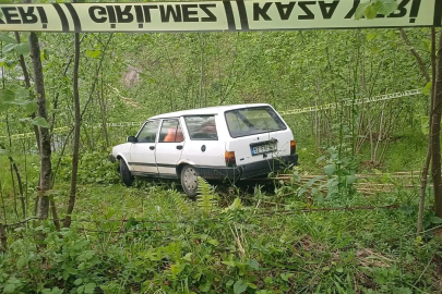 Fındık bahçesine giren otomobilin sürücüsü öldü
