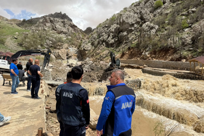 Beytüşşebap'ta dereler taştı; köprüler yıkıldı, araçlar suya kapıldı (3)