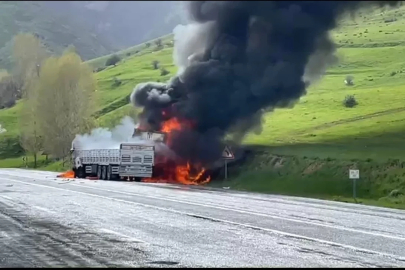 Bitlis'te kafa kafaya çarpışan 2 TIR alev aldı; 2 ölü