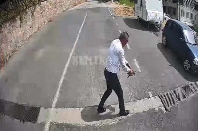 Otobüsü durdurup kaplumbağayı ezilmekten kurtardı 