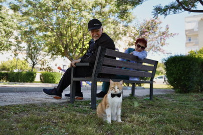 Papyonlu kedi 'Foça', emekli çiftin hayatını değiştirdi