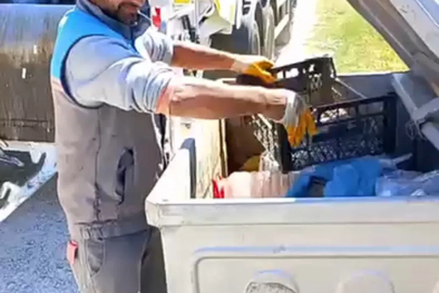 Çöp konteynerine atılan kaplumbağa kurtarıldı