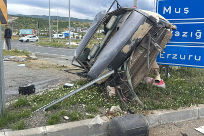 Hayvan yüklü kamyon, 2 otomobile çarptı; 2 yaralı