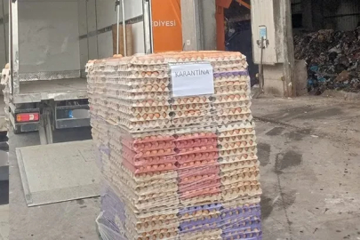 Sakarya’da 42 bin sahte organik etiketli yumurta imha edildi
