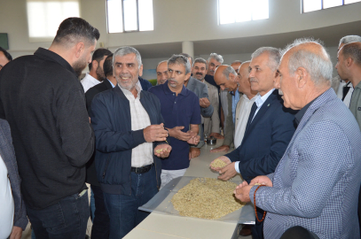 Mardin’de sezonun ilk arpa hasadını yapan çiftçi, gram altınla ödüllendirildi