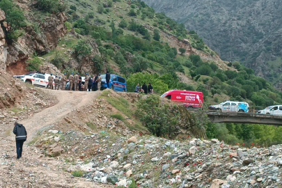 Muş'ta dereye düşen Gülsima aranıyor (2)