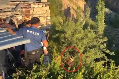 Tedaviyi reddedip kaçtı, dere yatağına düşerek ağaçta asılı kaldı