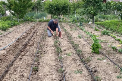 Artvin’de eğitimciler hobi bahçelerini üretim alanına dönüştürdü