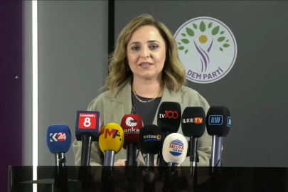 DEM Parti'li Doğan'dan 'Terörsüz Türkiye' süreci açıklaması