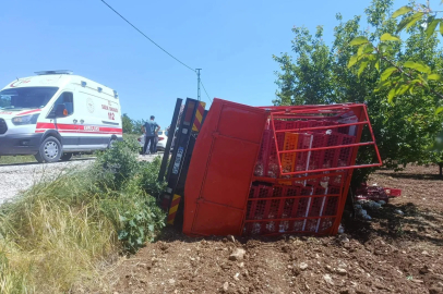 Malatya'da tavuk yüklü kamyon devrildi