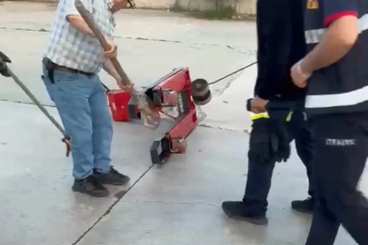 Fabrikaya giren yılan itfaiye ekipleri tarafından yakalanarak doğaya bırakıldı