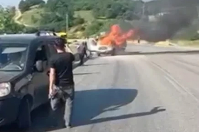 Bursa'da erik yüklü kamyonet alev alev yandı