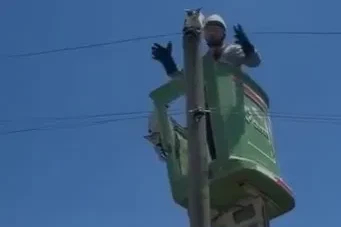 Amasya'da elektrik direğinde mahsur kalan kedi kurtarıldı