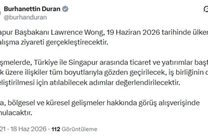 Singapur Başbakanı Wong, Türkiye'ye gelecek