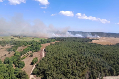 Çanakkale'de orman yangını