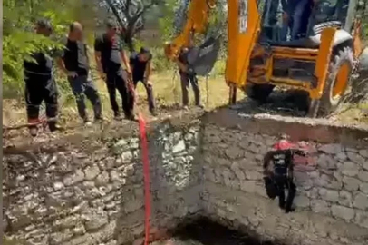 Malatya'da sulama havuzuna düşen inek, halatla çıkarılıp kurtarıldı